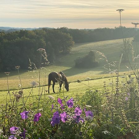 Domaine De Cazal - Gite 2 Pers Avec Piscine Au Coeur De 26 Hectares De Nature Preservee Villa Saint-Cyprien  Exteriör bild