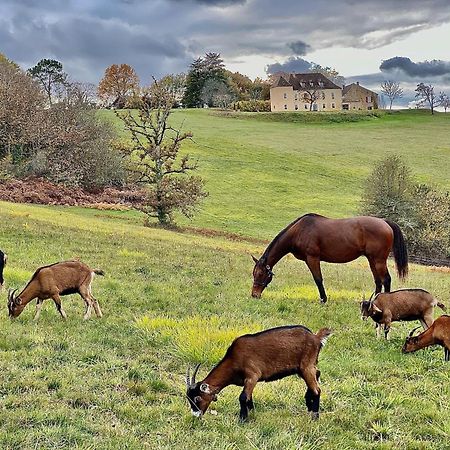 Domaine De Cazal - Gite 2 Pers Avec Piscine Au Coeur De 26 Hectares De Nature Preservee Villa Saint-Cyprien  Exteriör bild